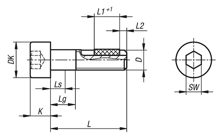 Socket head screws DIN EN ISO 4762 with thread lock